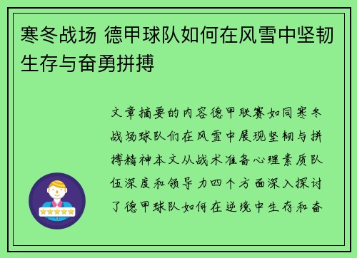 寒冬战场 德甲球队如何在风雪中坚韧生存与奋勇拼搏