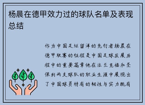 杨晨在德甲效力过的球队名单及表现总结