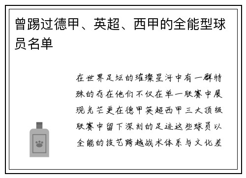 曾踢过德甲、英超、西甲的全能型球员名单